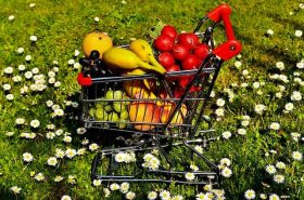 Kupnja i čuvanje hrane ljeti