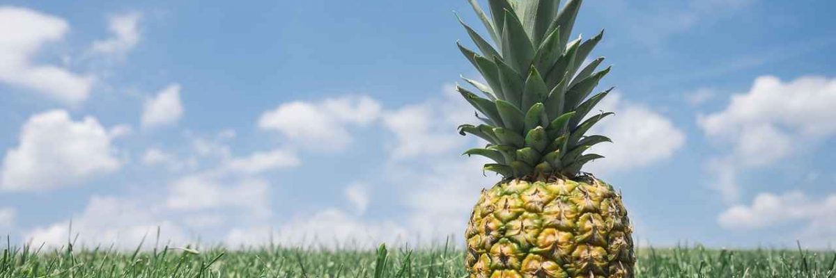 Ananas: Kralj tropskog voća, odličan za krvožilni i probavni sustav
