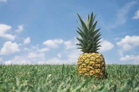 Ananas: Kralj tropskog voća, odličan za krvožilni i probavni sustav